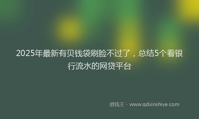 2025年最新有贝钱袋刷脸不过了，总结5个看银行流水的网贷平台