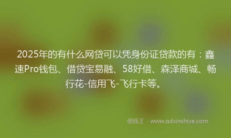 2025年的有什么网贷可以凭身份证贷款的有：鑫速Pro钱包、借贷宝易融、58好借、森泽商城、畅行花-信用飞-飞行卡等。