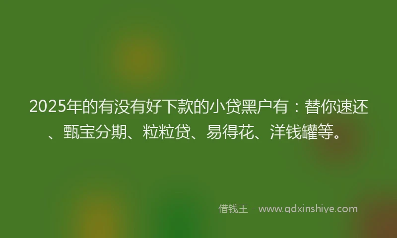 2025年的有没有好下款的小贷黑户有：替你速还、甄宝分期、粒粒贷、易得花、洋钱罐等。