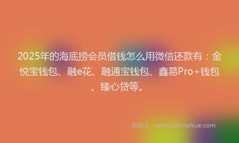 2025年的海底捞会员借钱怎么用微信还款有：金悦宝钱包、融e花、融通宝钱包、鑫易Pro+钱包、臻心贷等。