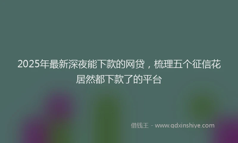 2025年最新深夜能下款的网贷，梳理五个征信花居然都下款了的平台