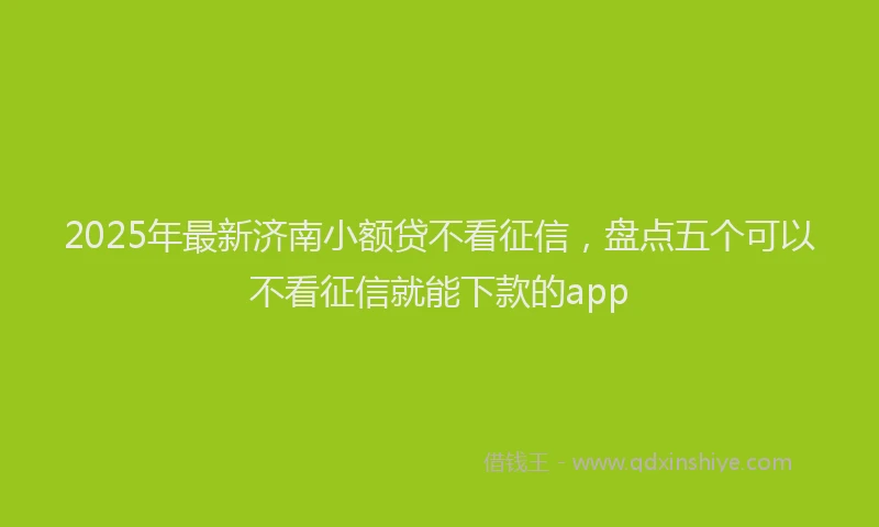 2025年最新济南小额贷不看征信，盘点五个可以不看征信就能下款的app