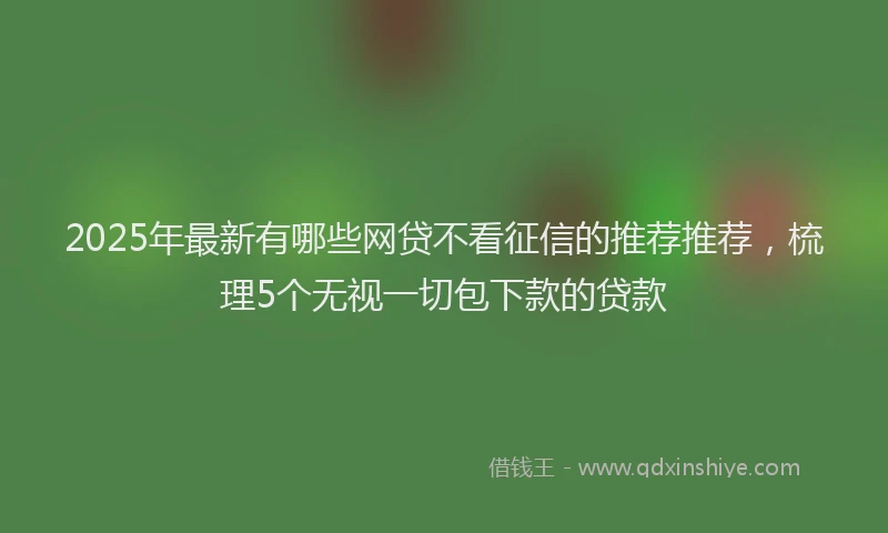 2025年最新有哪些网贷不看征信的推荐推荐，梳理5个无视一切包下款的贷款