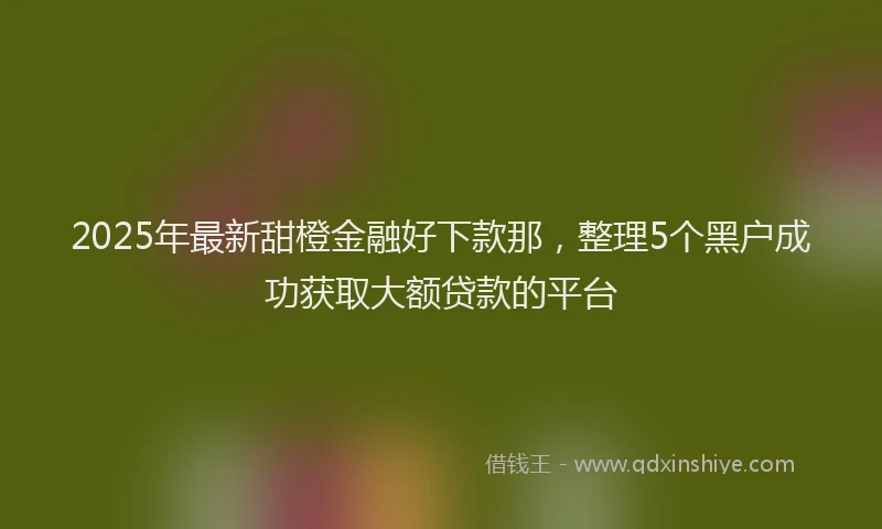 2025年最新甜橙金融好下款那，整理5个黑户成功获取大额贷款的平台