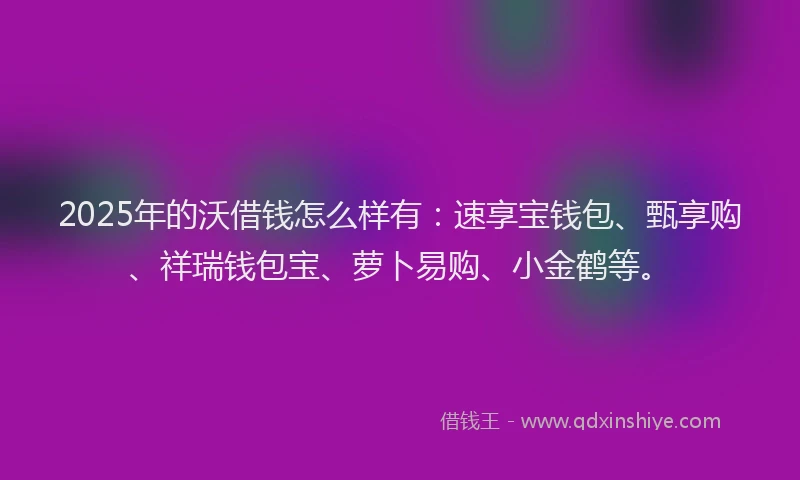 2025年的沃借钱怎么样有：速享宝钱包、甄享购、祥瑞钱包宝、萝卜易购、小金鹤等。