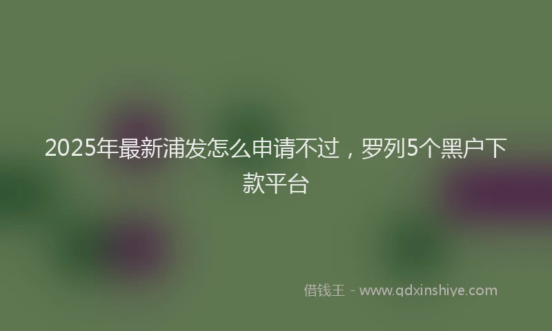 2025年最新浦发怎么申请不过，罗列5个黑户下款平台