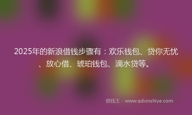 2025年的新浪借钱步骤有：欢乐钱包、贷你无忧、放心借、琥珀钱包、滴水贷等。
