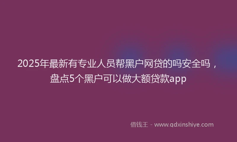 2025年最新有专业人员帮黑户网贷的吗安全吗，盘点5个黑户可以做大额贷款app