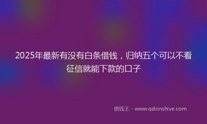 2025年最新有没有白条借钱，归纳五个可以不看征信就能下款的口子
