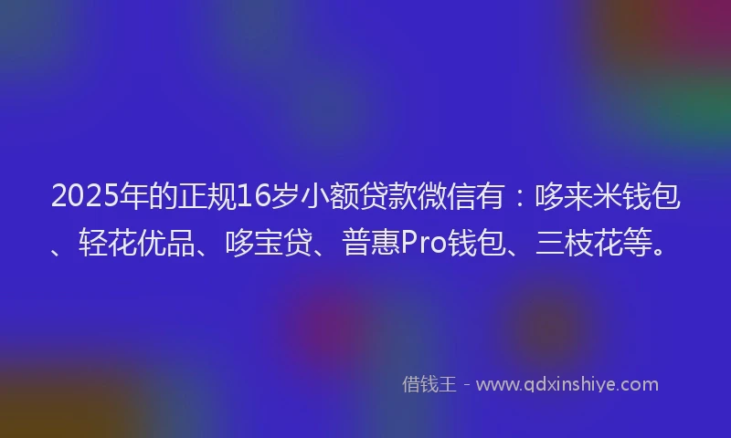 2025年的正规16岁小额贷款微信有：哆来米钱包、轻花优品、哆宝贷、普惠Pro钱包、三枝花等。