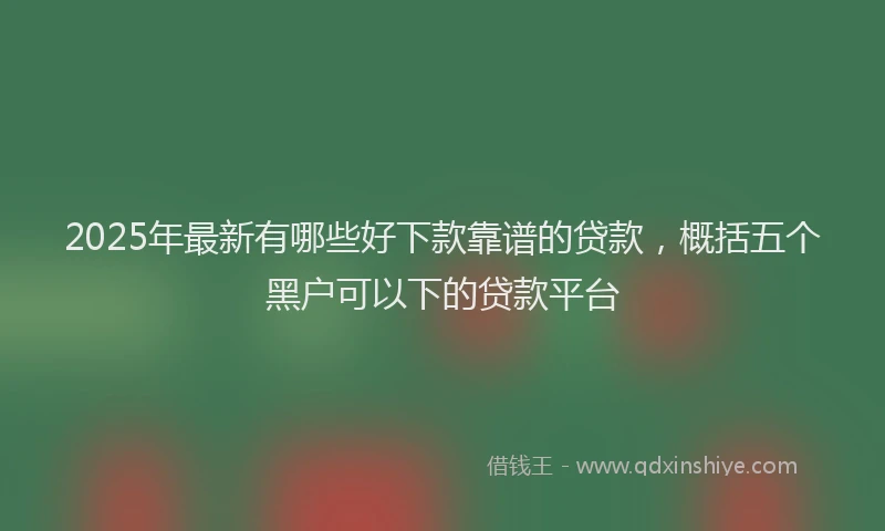 2025年最新有哪些好下款靠谱的贷款，概括五个黑户可以下的贷款平台