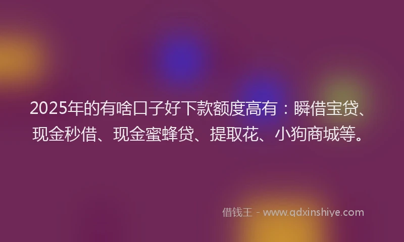 2025年的有啥口子好下款额度高有：瞬借宝贷、现金秒借、现金蜜蜂贷、提取花、小狗商城等。