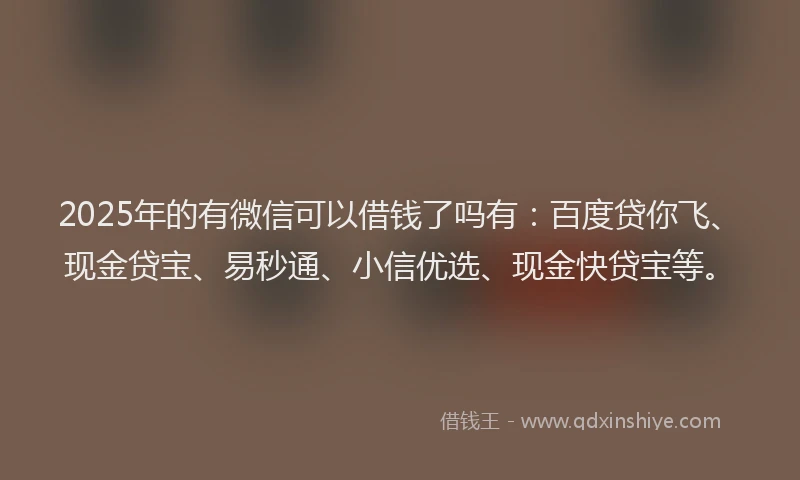 2025年的有微信可以借钱了吗有：百度贷你飞、现金贷宝、易秒通、小信优选、现金快贷宝等。