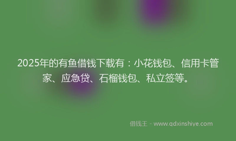2025年的有鱼借钱下载有：小花钱包、信用卡管家、应急贷、石榴钱包、私立签等。