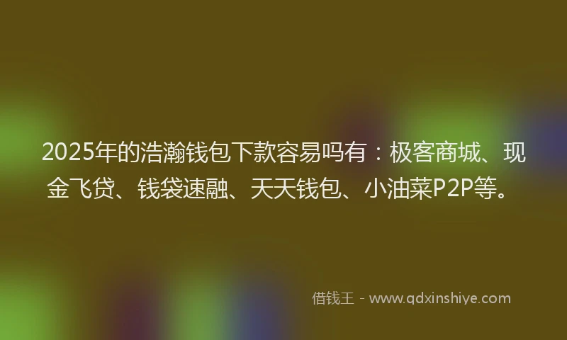2025年的浩瀚钱包下款容易吗有：极客商城、现金飞贷、钱袋速融、天天钱包、小油菜P2P等。