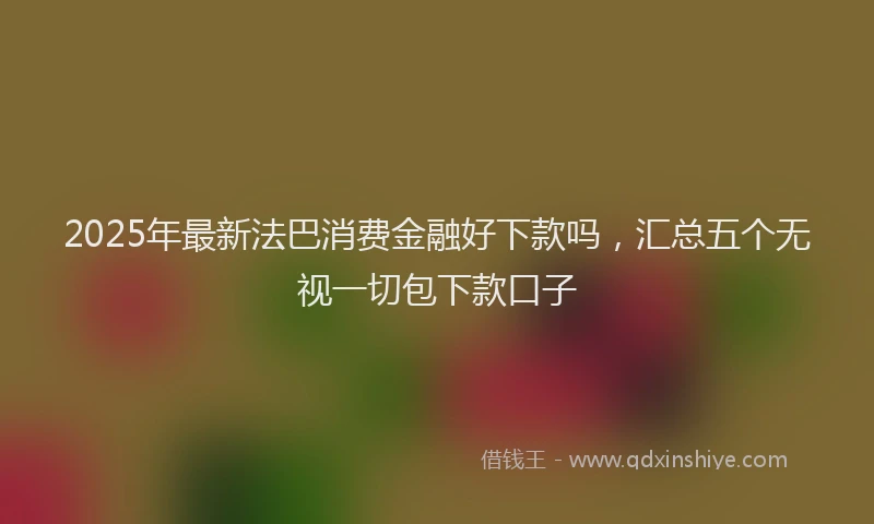 2025年最新法巴消费金融好下款吗，汇总五个无视一切包下款口子