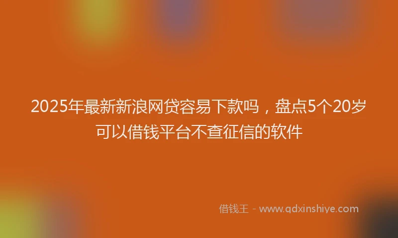 2025年最新新浪网贷容易下款吗，盘点5个20岁可以借钱平台不查征信的软件