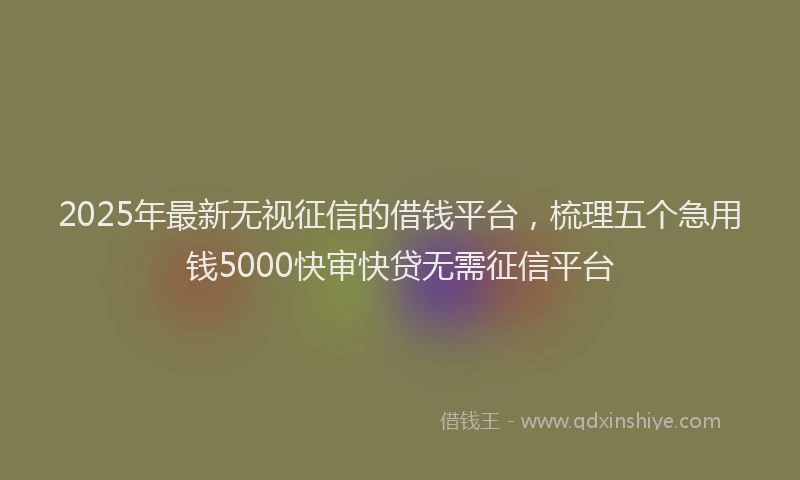 2025年最新无视征信的借钱平台，梳理五个急用钱5000快审快贷无需征信平台