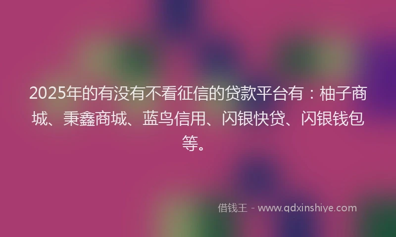 2025年的有没有不看征信的贷款平台有：柚子商城、秉鑫商城、蓝鸟信用、闪银快贷、闪银钱包等。