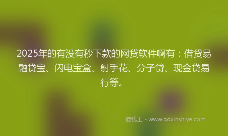 2025年的有没有秒下款的网贷软件啊有：借贷易融贷宝、闪电宝盒、射手花、分子贷、现金贷易行等。