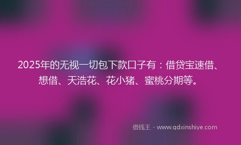 2025年的无视一切包下款口子有：借贷宝速借、想借、天浩花、花小猪、蜜桃分期等。