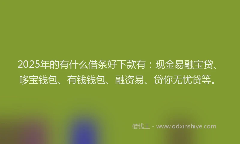 2025年的有什么借条好下款有：现金易融宝贷、哆宝钱包、有钱钱包、融资易、贷你无忧贷等。