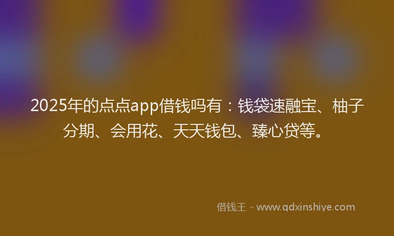 2025年的点点app借钱吗有：钱袋速融宝、柚子分期、会用花、天天钱包、臻心贷等。