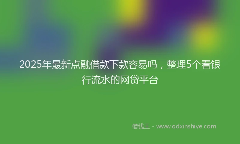 2025年最新点融借款下款容易吗，整理5个看银行流水的网贷平台