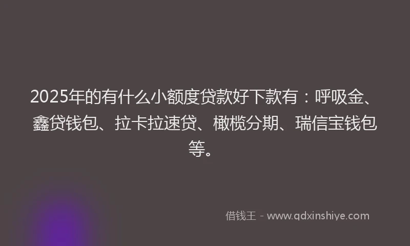 2025年的有什么小额度贷款好下款有：呼吸金、鑫贷钱包、拉卡拉速贷、橄榄分期、瑞信宝钱包等。