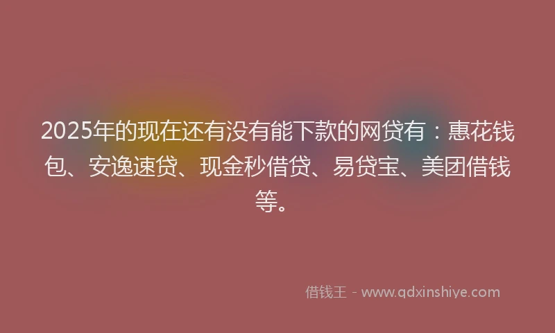 2025年的现在还有没有能下款的网贷有：惠花钱包、安逸速贷、现金秒借贷、易贷宝、美团借钱等。