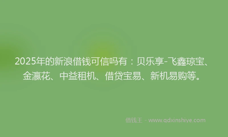 2025年的新浪借钱可信吗有：贝乐享-飞鑫琼宝、金瀛花、中益租机、借贷宝易、新机易购等。