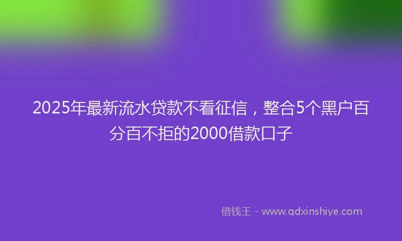 2025年最新流水贷款不看征信，整合5个黑户百分百不拒的2000借款口子