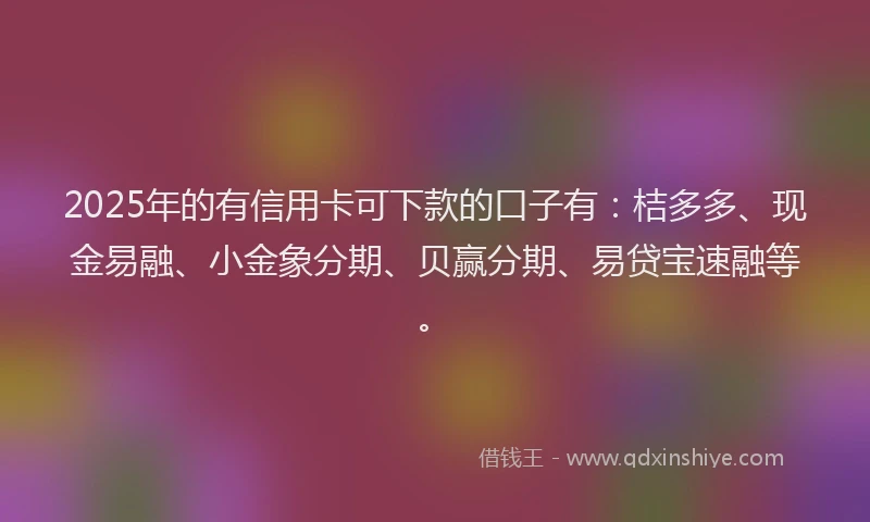 2025年的有信用卡可下款的口子有：桔多多、现金易融、小金象分期、贝赢分期、易贷宝速融等。