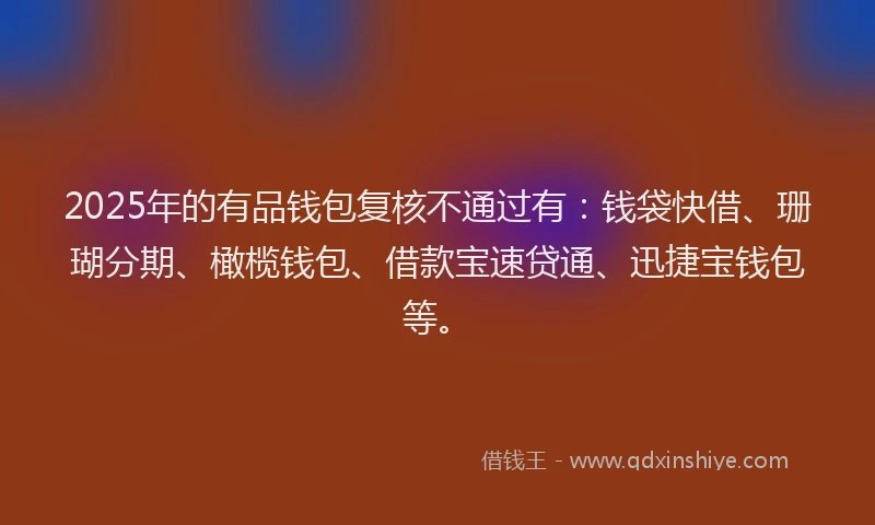 2025年的有品钱包复核不通过有：钱袋快借、珊瑚分期、橄榄钱包、借款宝速贷通、迅捷宝钱包等。