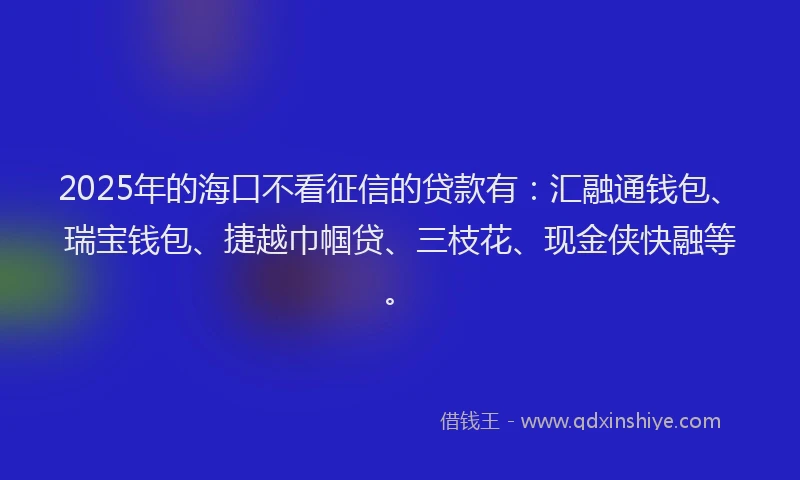 2025年的海口不看征信的贷款有：汇融通钱包、瑞宝钱包、捷越巾帼贷、三枝花、现金侠快融等。