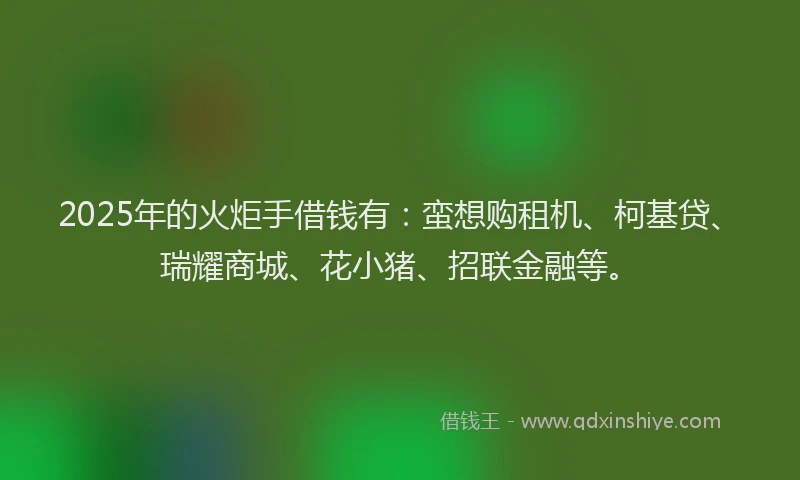 2025年的火炬手借钱有：蛮想购租机、柯基贷、瑞耀商城、花小猪、招联金融等。