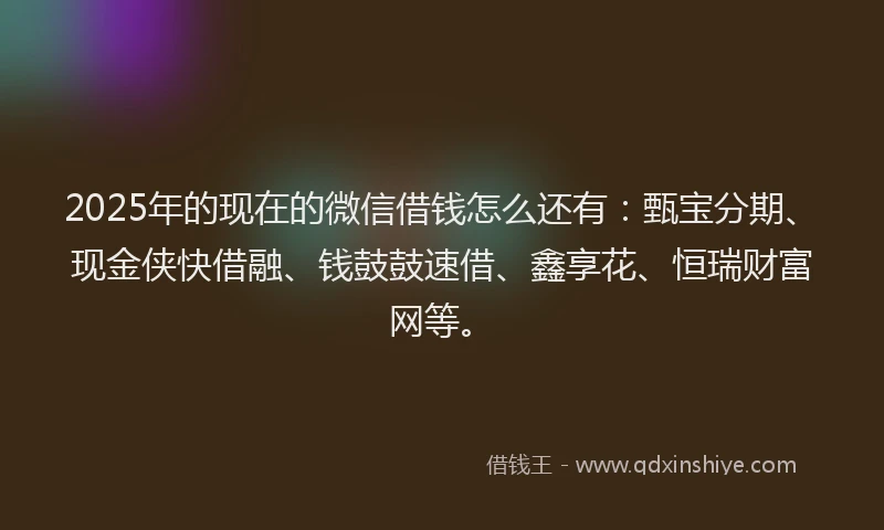2025年的现在的微信借钱怎么还有：甄宝分期、现金侠快借融、钱鼓鼓速借、鑫享花、恒瑞财富网等。