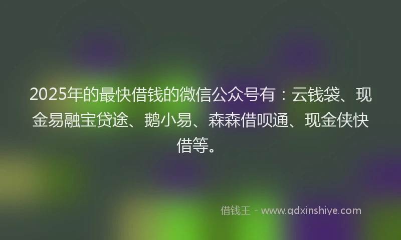 2025年的最快借钱的微信公众号有：云钱袋、现金易融宝贷途、鹅小易、森森借呗通、现金侠快借等。