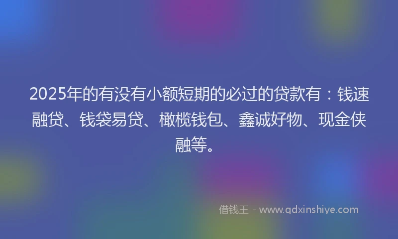 2025年的有没有小额短期的必过的贷款有：钱速融贷、钱袋易贷、橄榄钱包、鑫诚好物、现金侠融等。