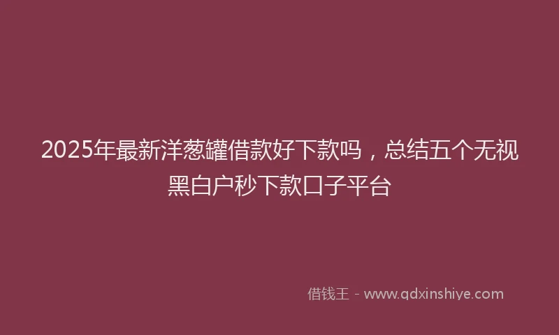 2025年最新洋葱罐借款好下款吗，总结五个无视黑白户秒下款口子平台