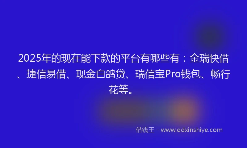 2025年的现在能下款的平台有哪些有：金瑞快借、捷信易借、现金白鸽贷、瑞信宝Pro钱包、畅行花等。