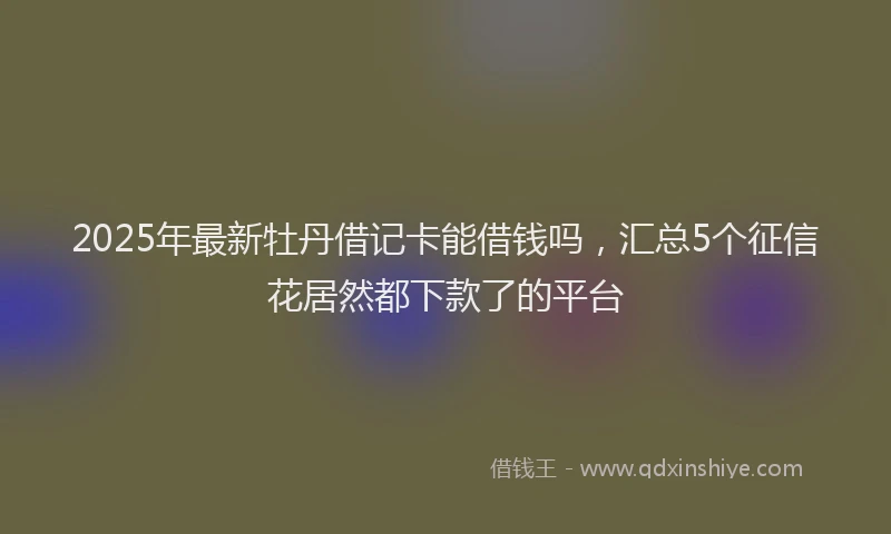 2025年最新牡丹借记卡能借钱吗，汇总5个征信花居然都下款了的平台