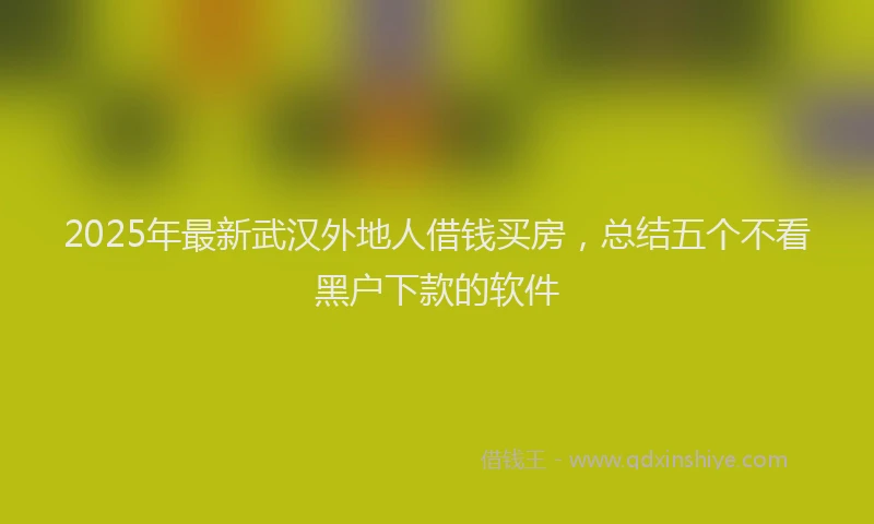2025年最新武汉外地人借钱买房，总结五个不看黑户下款的软件