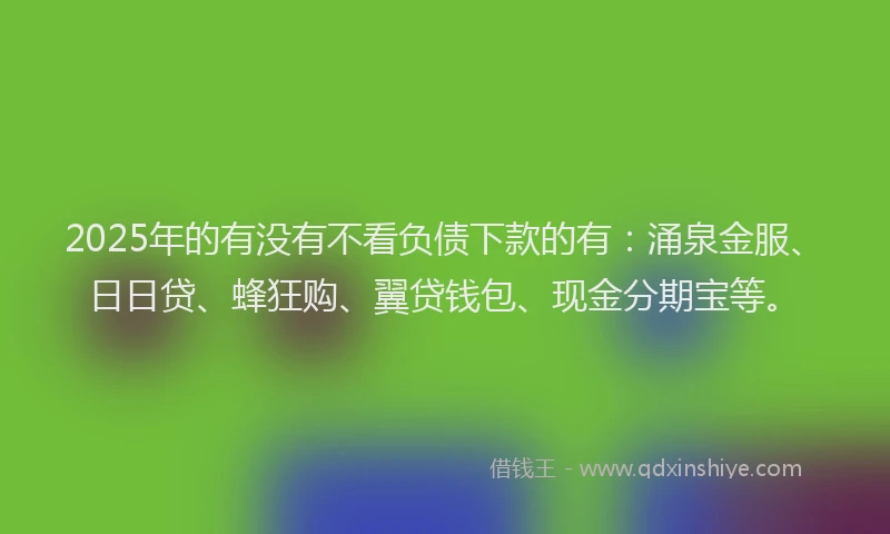 2025年的有没有不看负债下款的有：涌泉金服、日日贷、蜂狂购、翼贷钱包、现金分期宝等。
