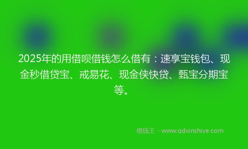 2025年的用借呗借钱怎么借有：速享宝钱包、现金秒借贷宝、戒易花、现金侠快贷、甄宝分期宝等。