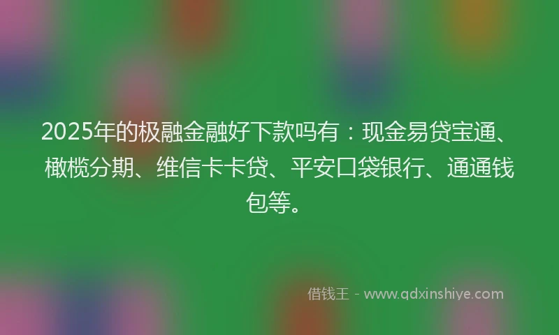 2025年的极融金融好下款吗有：现金易贷宝通、橄榄分期、维信卡卡贷、平安口袋银行、通通钱包等。