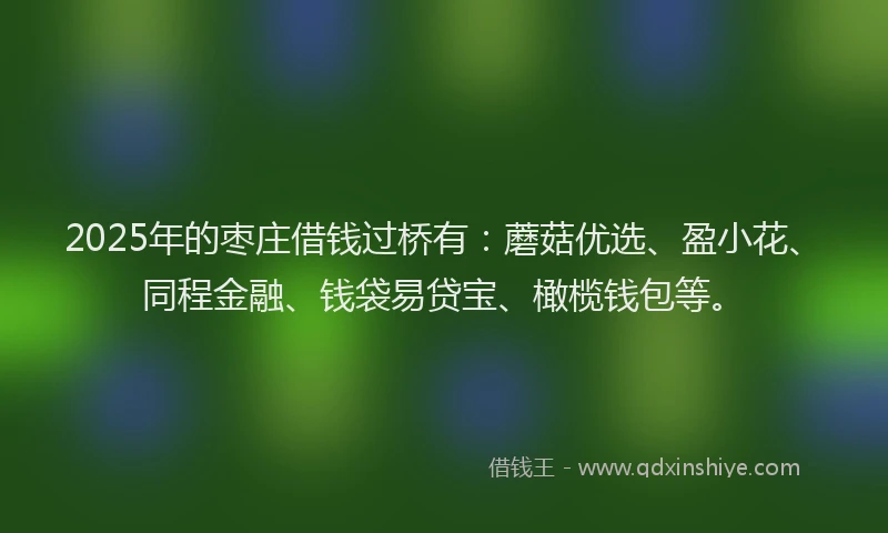 2025年的枣庄借钱过桥有：蘑菇优选、盈小花、同程金融、钱袋易贷宝、橄榄钱包等。