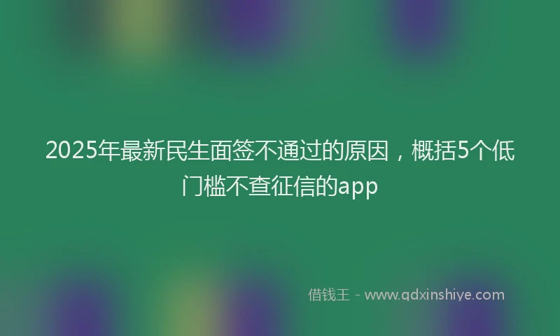 2025年最新民生面签不通过的原因，概括5个低门槛不查征信的app