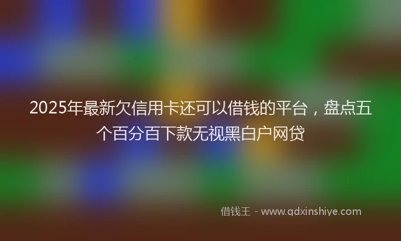 2025年最新欠信用卡还可以借钱的平台，盘点五个百分百下款无视黑白户网贷