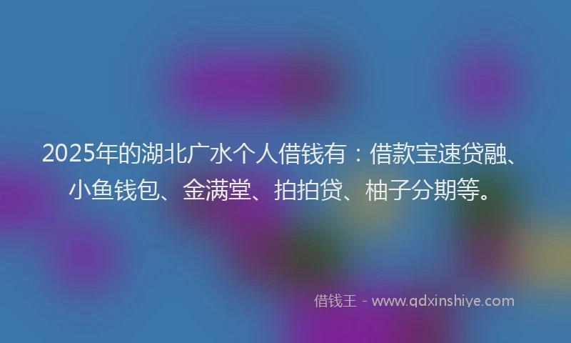 2025年的湖北广水个人借钱有：借款宝速贷融、小鱼钱包、金满堂、拍拍贷、柚子分期等。